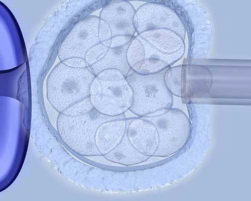 深圳供卵试管中心深度解析：助您圆梦生殖