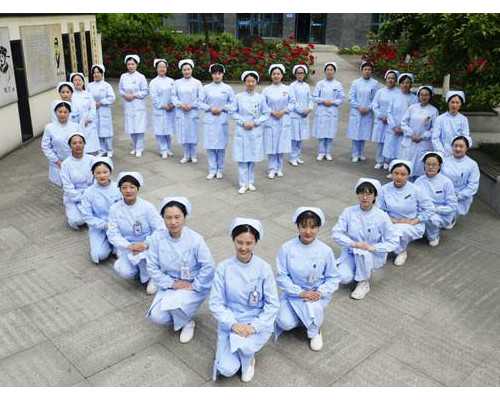 探索助孕价格与生男生女的科学依据